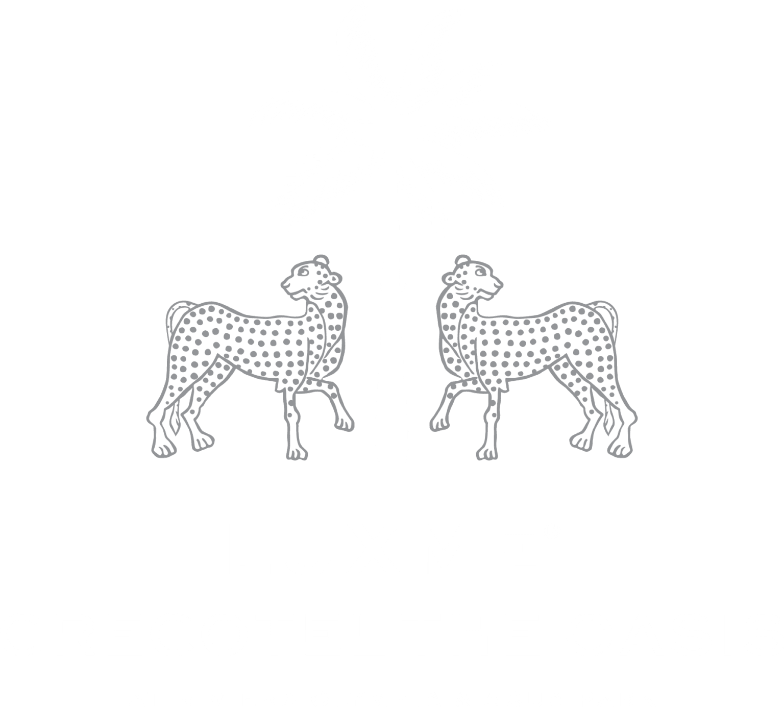 Olympia Oasis